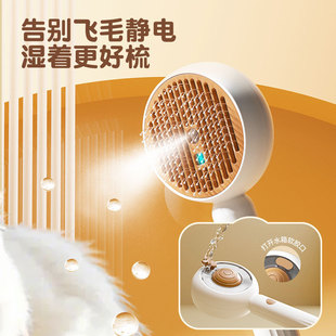 Cross-border Pet Spray Comb Hair to Float Hair Anti-static Cat Dog Universal Pet Beauty Comb Battery