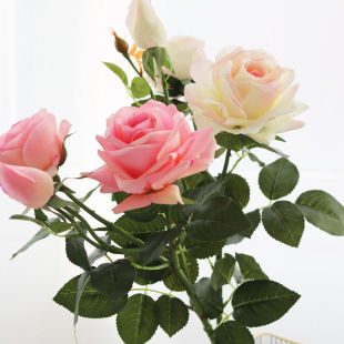 ̫���滨!�۠�ܽ�ָб���õ����滨�������ϻ��������ҿ͏d�[�O