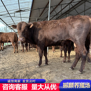 ��ľٝţţ�� ������ţ�� �����Sţ���wţ�� ɽ���Bţ��