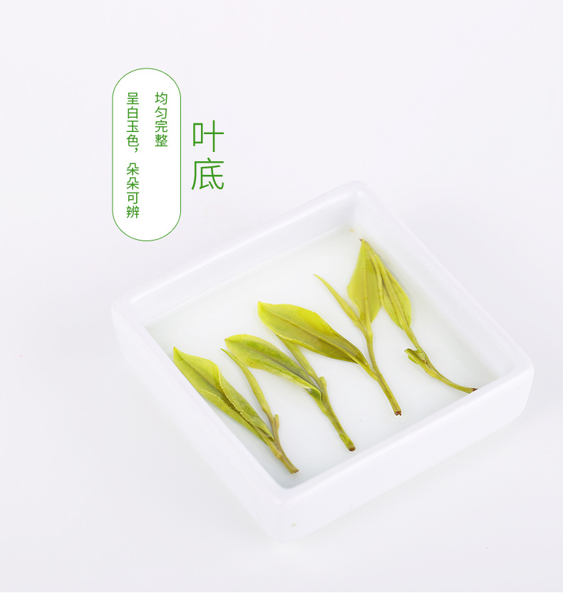 嘉木白茶单罐125克790_12