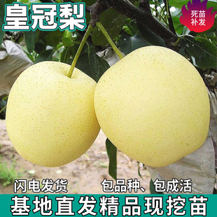 һ�����l�ʹ�������ϱ�������ͥԺ���ԷNֲ�޽��ش��ִ��������