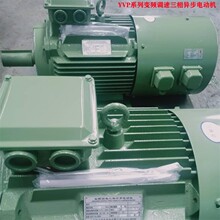 山东厂家直供 YVP180L-6/15KW YVP系列变频调速三相异步电动机