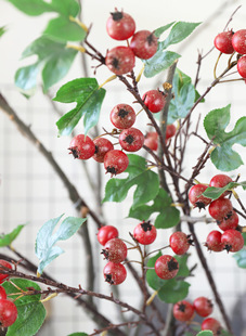 ����GֲҰ���ٻ��tɽ髿͏d�b�ʯ�����c�Ӽ�����쾰�[����ˇ