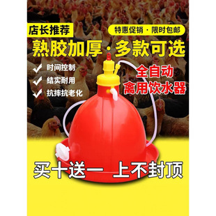 Automatic water dispenser for breeding chicken equipment and supplies for chicken, duck and goose water feeder for chicken farm feeding chicken drinking kettle