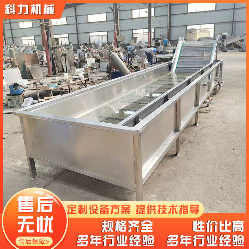 全自动水果蔬菜气泡清洗机 多功能清洗机 水果气泡清洗机设备