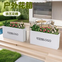 ���⻨���Fˇ�����������[���P䓻��ۻ����ۘǲ��V������