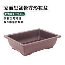 爱丽思长方形塑料花盆多肉盆仿紫砂盆景多肉植物育苗浅型树脂盆
