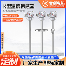 高温K型热电偶探头2520材质WRN-130_120_230测温仪310S温度传感器
