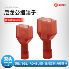 MDFN1.25-250ȫ��Ե�͸����������� �Խ�6.3��ɹ�ĸ�Բ���ӷ���