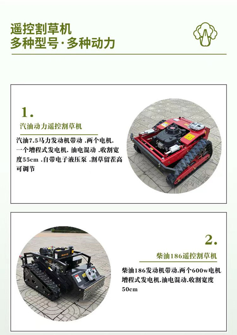 微信图片_20250214134452