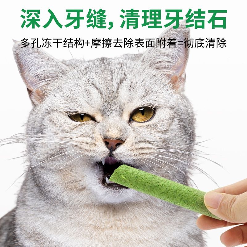 Palos molares de hierba para gatos 50 bocadillos para gatos liofilizados, bolas de pelo, gatitos, gatos adultos, dientes orales, bocadillos para mascotas al por mayor