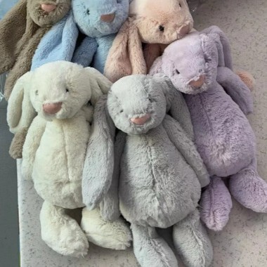 Jelly Original Alternative Bonnie Rabbit Series Collection Heart Bonnie Rabbit Gold Label Floral Light Pink Plush Jelly Original Alternative Bonnie Rabbit Series Collection Heart Bonnie Rabbit Gold Label Floral Light Pink Plush