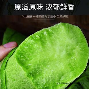 ˮ���}���H���������}�����ˮ���͞H�h���}�����r�����P��ɽ�|