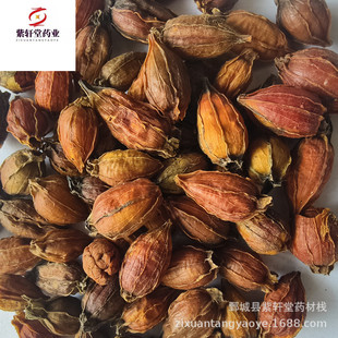����܎�á��d��500g��؛��������ă������Ĕz��ș�����l�d�ӗd��