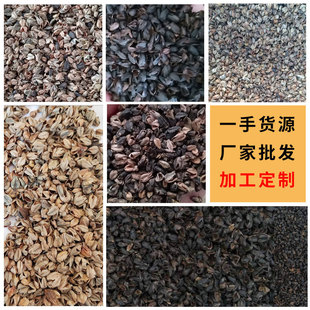 �������l���w���� ���rM�Ƀ����^�w��Ƥ��о����������w����