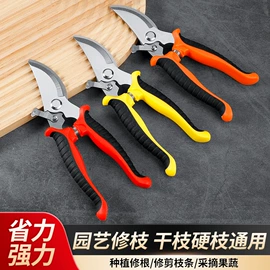 厨用剪刀;修枝剪;烹饪勺铲