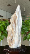 木化玉树化石奇石冰种树化玉原石桌面装饰木化石大摆件