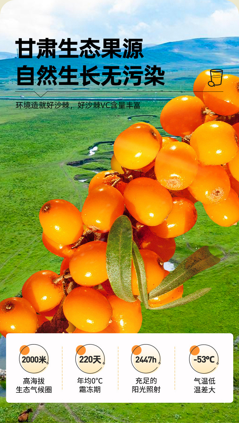 Sea Buckthorn Juice Puree 300ml 10 Sachets Gift Box Ready to Drink Shā Jí Yuán Jiāng overview