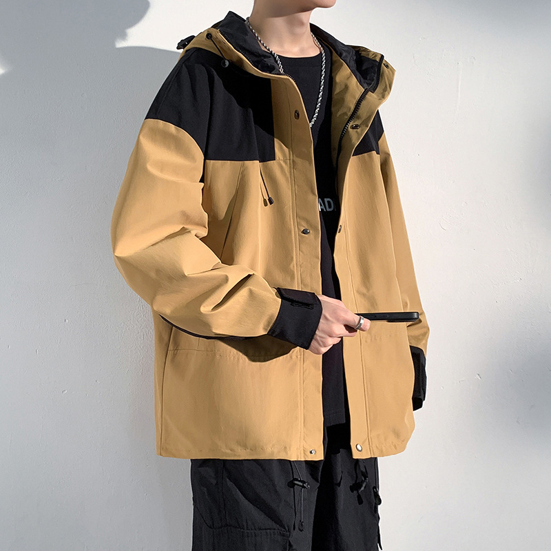 다크 브라운 삽입 검정