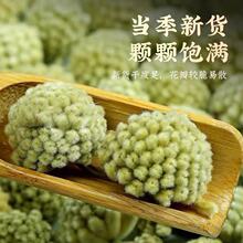 绿萝花500g绿罗绿箩干花袋装花茶花草茶泡茶泡水喝非野生中药材
