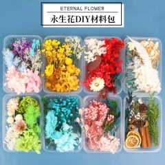 天然のドライフラワーの永遠の花の造花のシミュレーションの花の子供の手作りのdiyの自作の団扇は材料を貼って幼稚園を包みます。