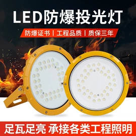 防爆灯;LED应急灯;隧道灯具