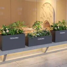 ���������Fˇ���P䓻���Nֲ������̘I�֏V����[�Fˇ�L���λ���