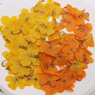 �Q���ӻ���ɻ������ֹ�diy����Ѻ���ļ����y�NĘ��������������