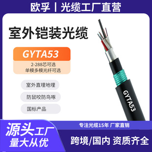 ����ͨ��ֱ����|gyta53-16b1����16о��ģ���w���z�b