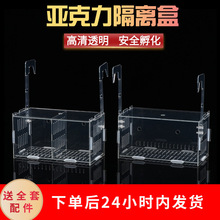 批发迷你鹦鹉鱼孔雀鱼斗鱼繁殖笼鱼缸隔离盒亚克力小鱼苗箱代发批