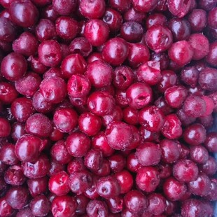 ȥ�˙��� �ك�ȥ�˙��� ���ȥ�˙����r������ҹ��@������