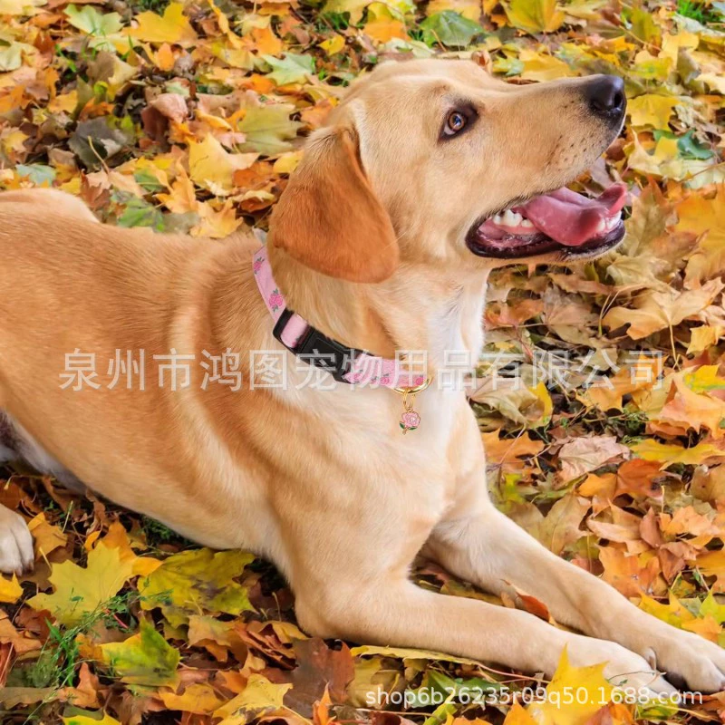 Новый Amazon Летний печатный ошейник для домашних животных