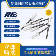 铝铁封闭型沉头抽芯拉铆钉3/3.2/4/4.8/5防水钉埋头钉GB12616.1