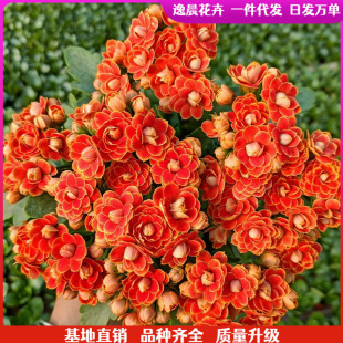 �L�ۻ������ذ�����󻨎����������ļ��҃��_�����B�Ļ���ֲ��
