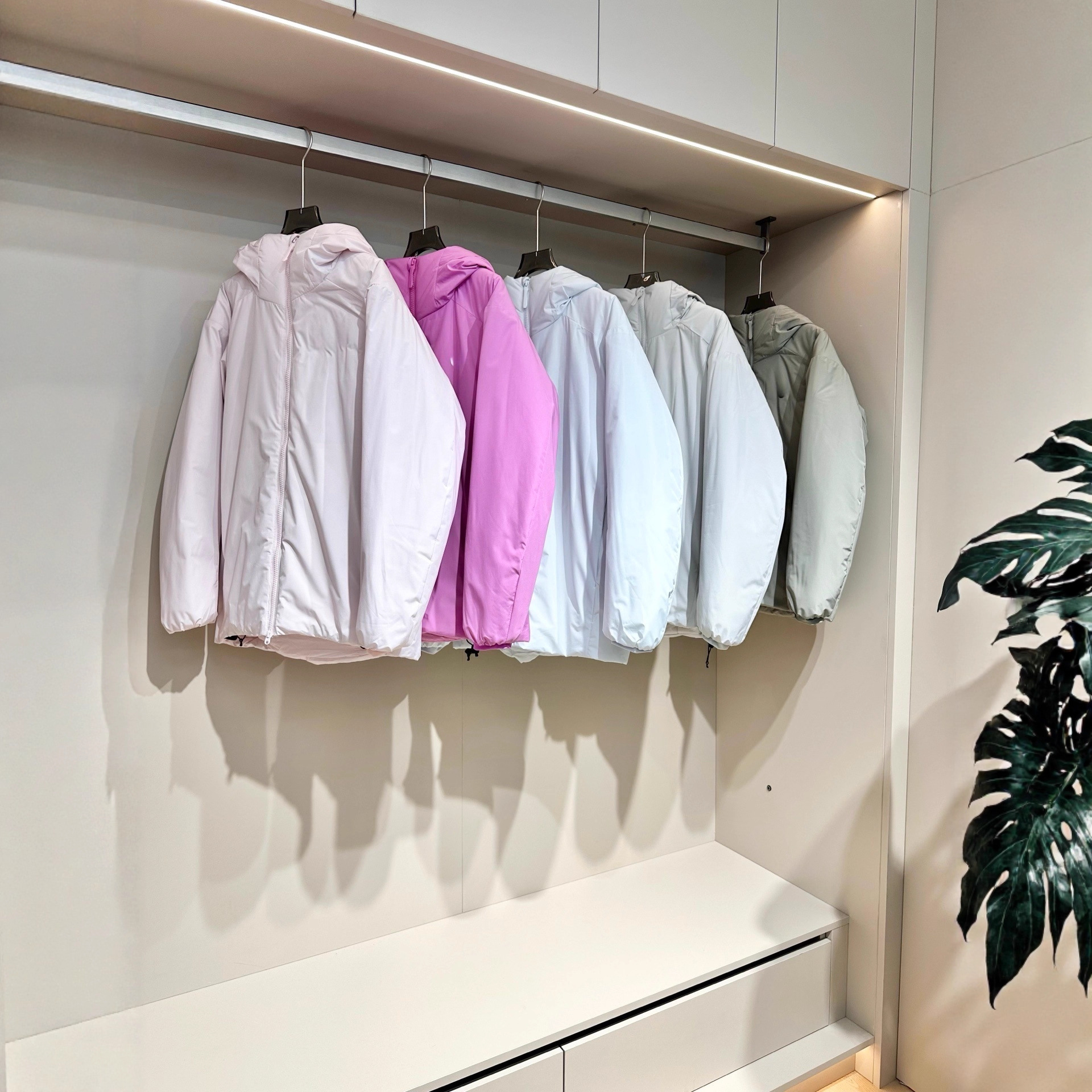 25秋冬款素SR家多巴胺糖果色连帽女士棉服简约轻量款薄款保暖外套