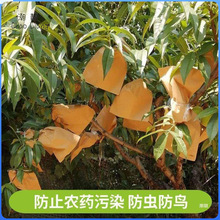 保护防水纸百香果袋生长猕猴桃枇杷水果袋纸质阳台果子纸袋子桃树