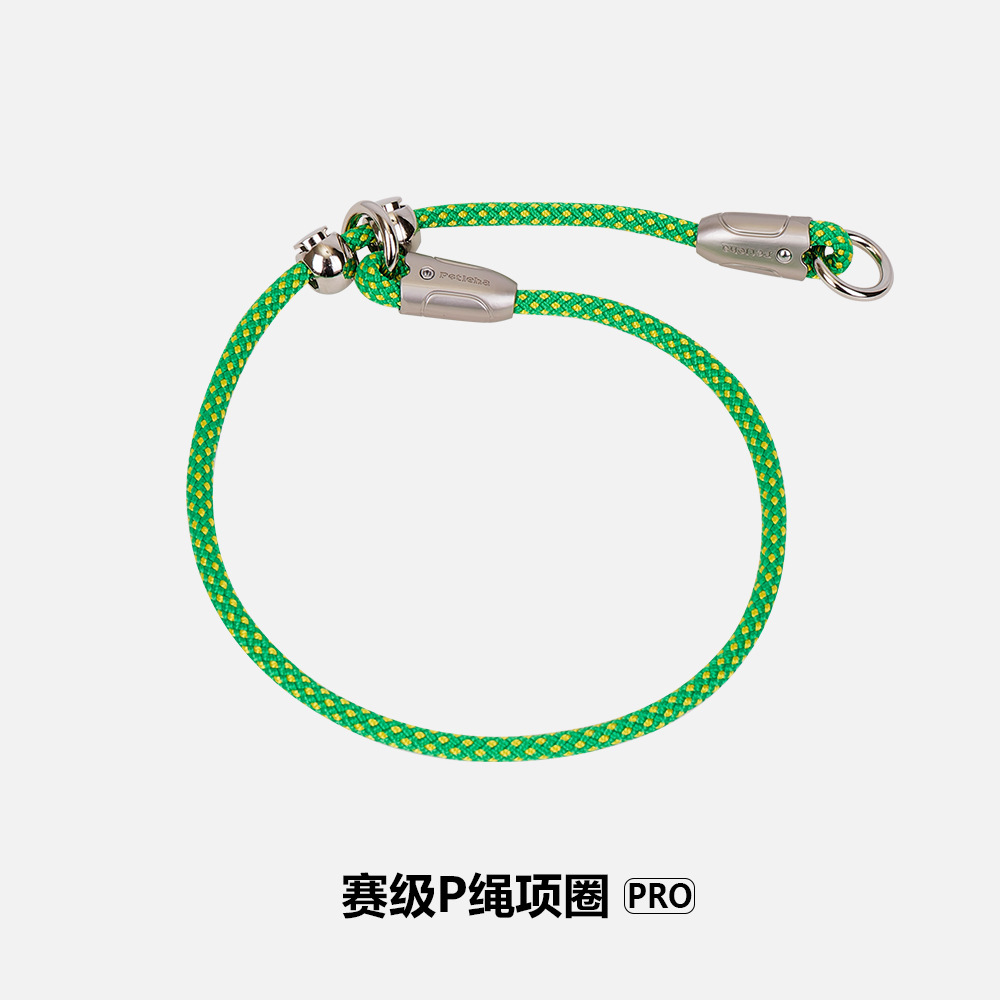 Sunshine forest (single collar)