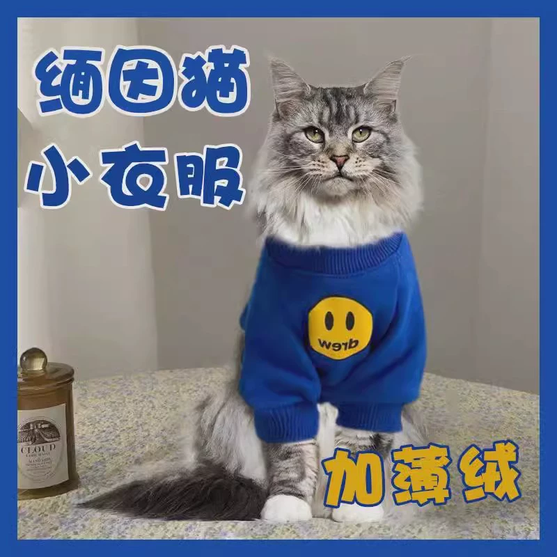 Домашние животные, котенок, одежда, теплая, теплая, теплая, серебряная, кукольная, голубая кошка