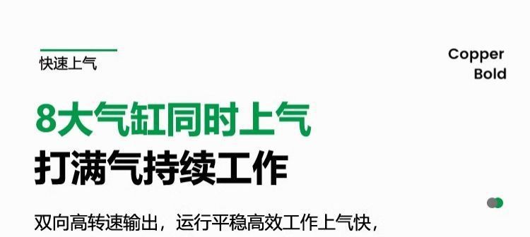 Oil-free silent air compressor, small 220v portable woodworking air pump, high-pressure air pump, practical air compressor