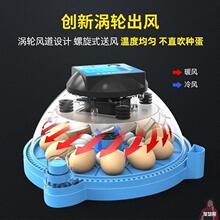 高端孵化器小型家用全自动智能小飞碟孵蛋器鹦鹉芦丁鸡鸟蛋孵化箱