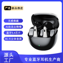 2025��Ʒ˽ģ�{�����C��������ʽ6�O����ANC �{�����C���L�m��