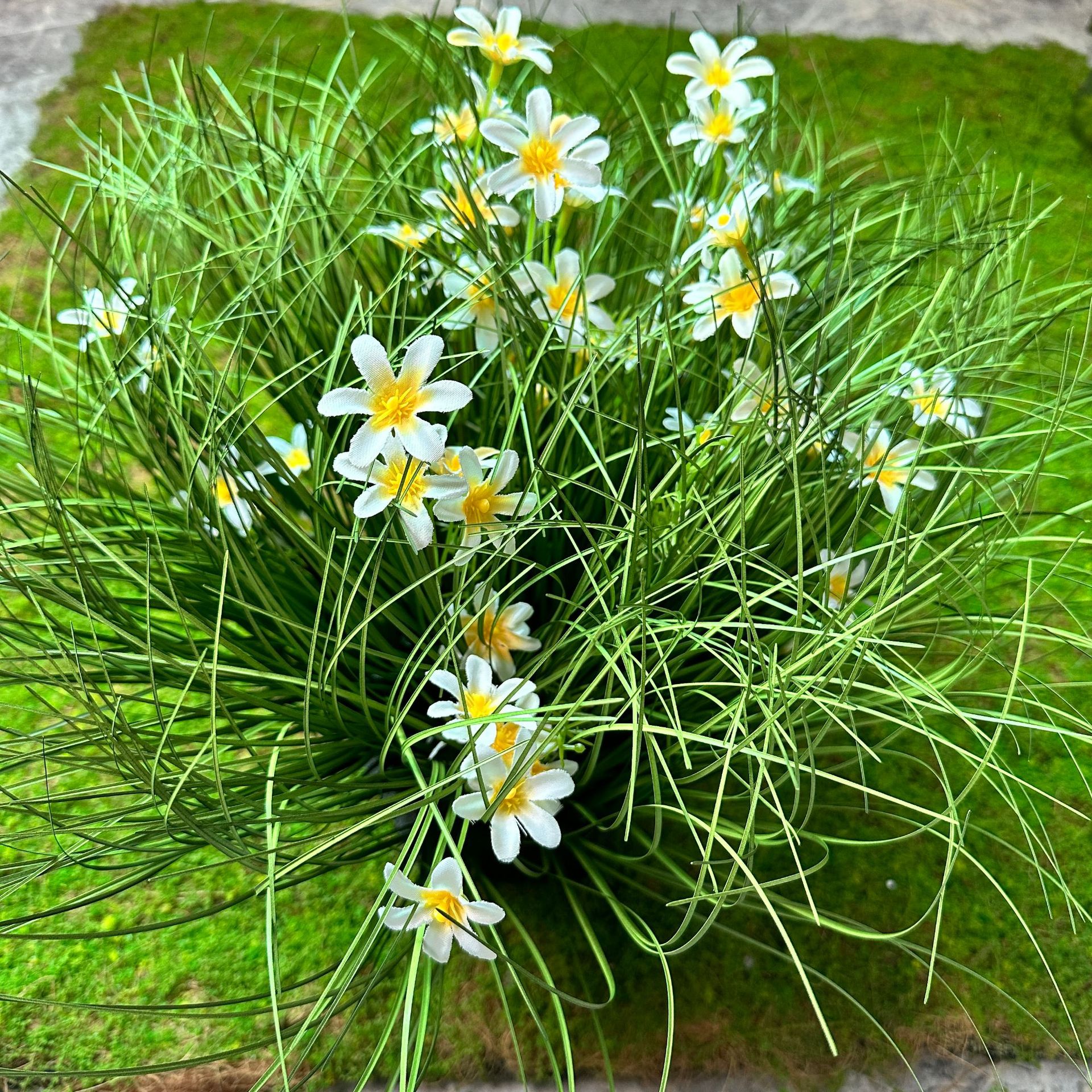 Grupo de flores silvestres blanco (40cm de altura, 40cm de diámetro)
