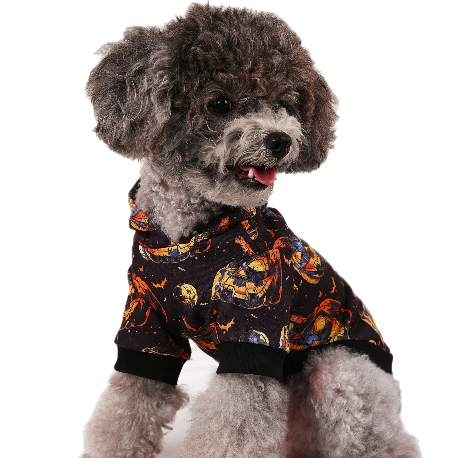 Sudadera de Halloween para Mascotas de Algodón de Poliéster, para Fiestas image 5