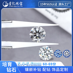 60 Points + Cultivated Diamond Laboratory Cultivated Diamond Hpht Loose Diamond Round Synthetic Diamond Factory Wholesale