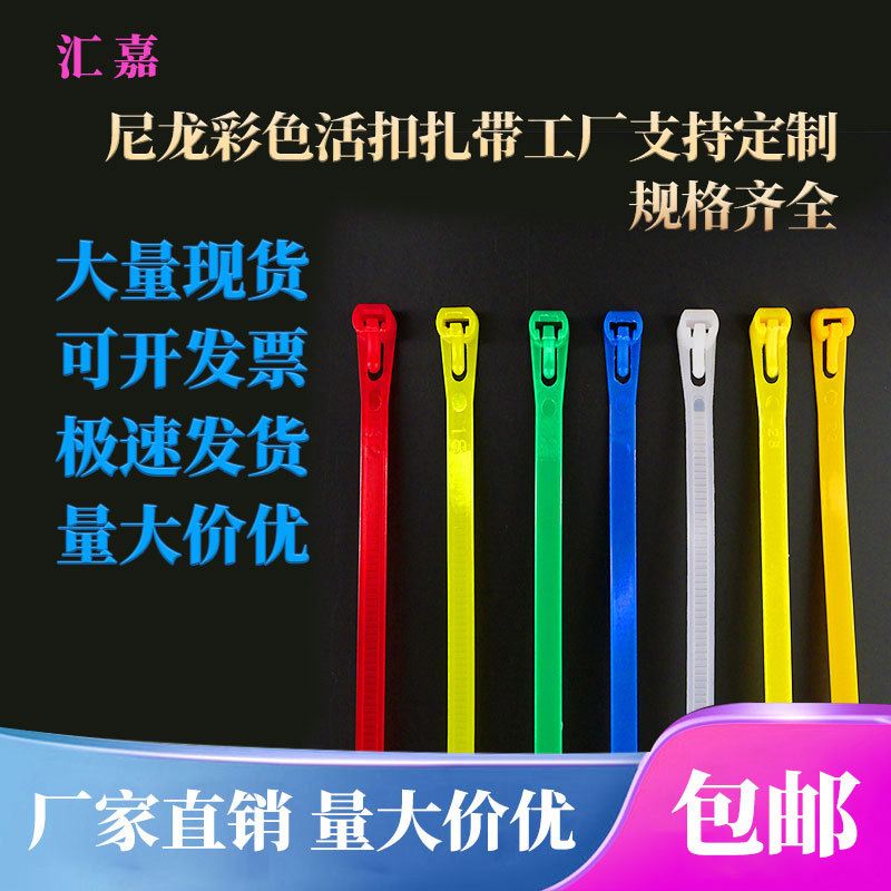 Plástico atadura de cables reutilizables atadura de cables fábrica al por mayor 8*200 Active Buckle nylon atadura de cables