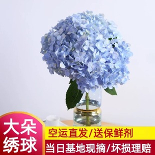 ������������r�������c���û����ͥˮ�B�廨����