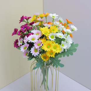�羳���u���컨��ɫ21�^�r�հ����Ҿ��bz������ٻ�С�r�ջ���