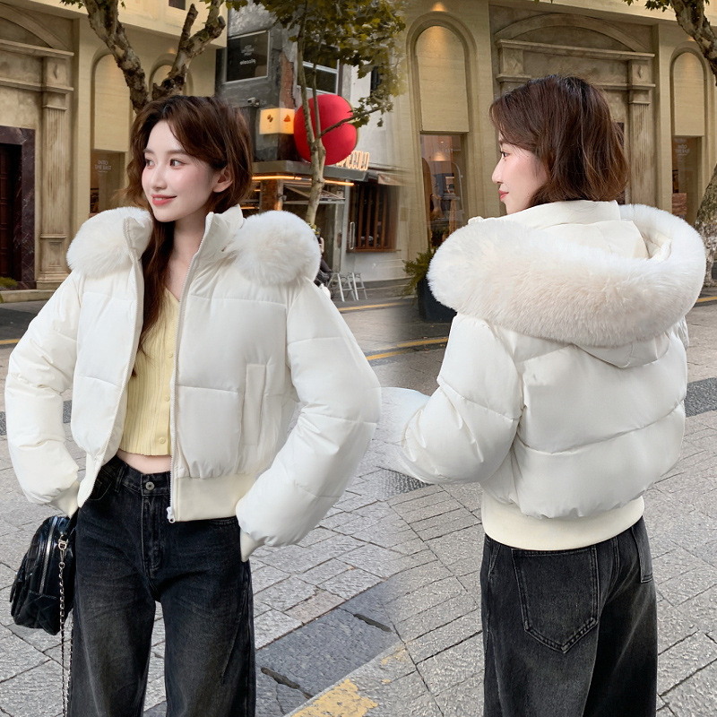 2025冬季新款宽松显瘦毛领连帽短款羽绒棉服女收腰加厚棉衣外套|undefined