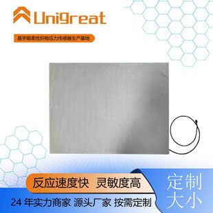 Customized Flexible Pressure Sensor for Disabled Elderly People to Control Pressure Sores and Monitor Vital Signs. Flexible Fiber Sensor
