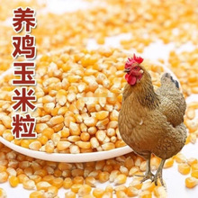 �r�Ҹ�������ι�u���������ι�u���Zι����������������ι�u���l